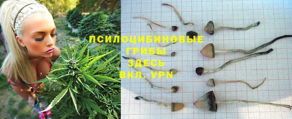 каннабис Балахна