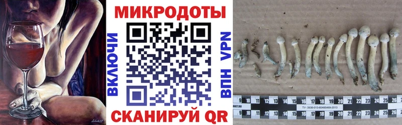 гидра рабочий сайт  Гороховец  Галлюциногенные грибы Cubensis  где продают наркотики 